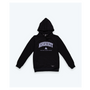 COLLEGIATE HOODIE