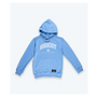 COLLEGIATE HOODIE